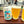 Load image into Gallery viewer, TINO´S GREAT ESCAPE COCONUT IPA
