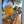 Load image into Gallery viewer, TINO´S GREAT ESCAPE COCONUT IPA
